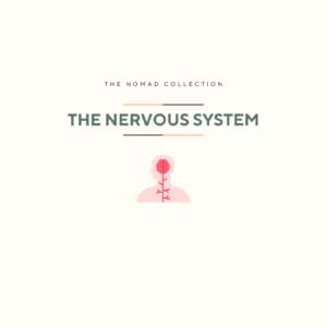 Nervous System Regulation Printable (Free)
